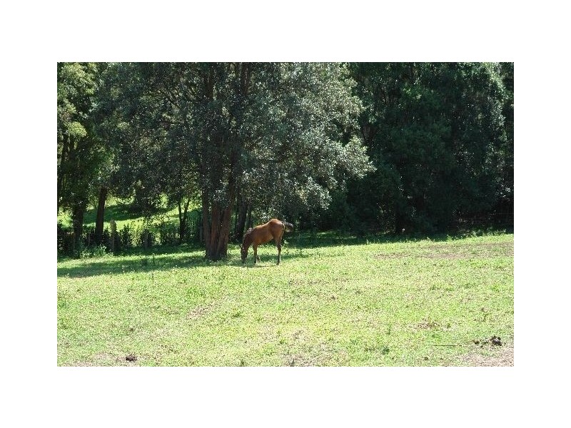 50 Berkeley Road, Glenning Valley NSW 2261