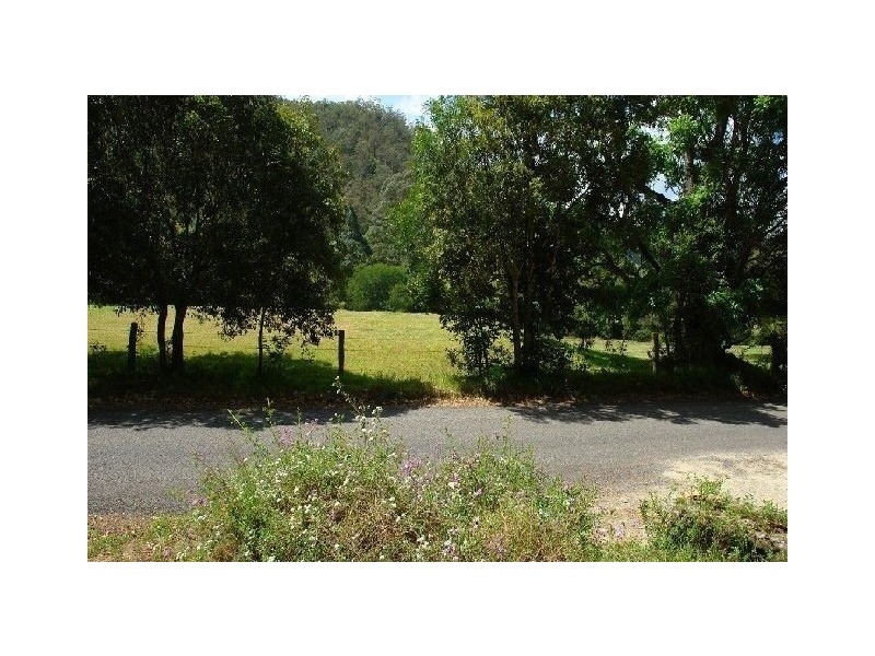 650 Brush Creek Road, Yarramalong NSW 2259