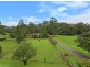 1567 Yarramalong Road, Yarramalong NSW 2259