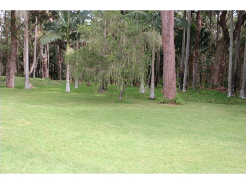 237 Evans Road, Canton Beach NSW 2263