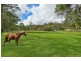 48 Whitemans Lane, Dooralong NSW 2259