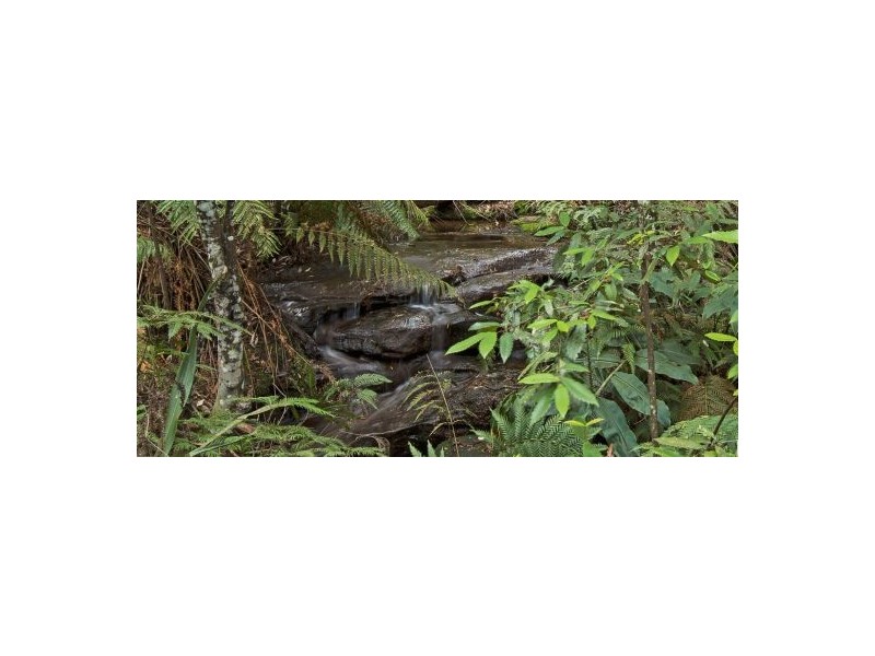 241 Williams Road, Kulnura NSW 2250