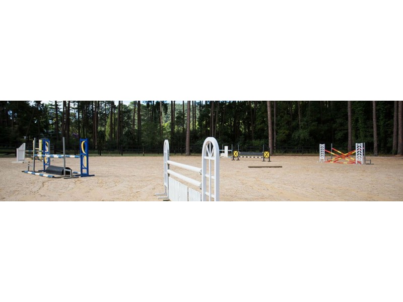 1060 Yarramalong Road, Wyong Creek NSW 2259