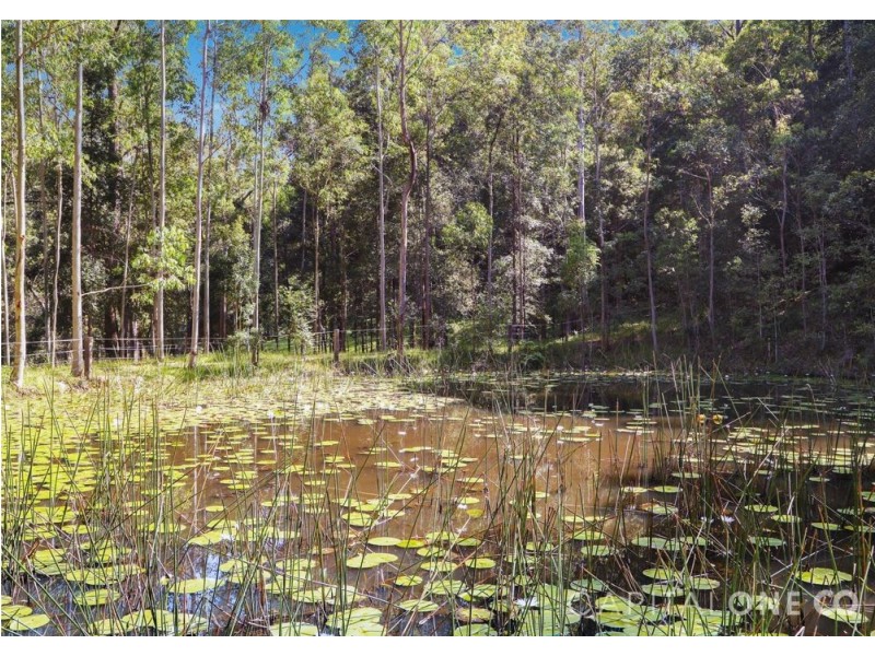 276 Brush Creek Road, Cedar Brush Creek NSW 2259