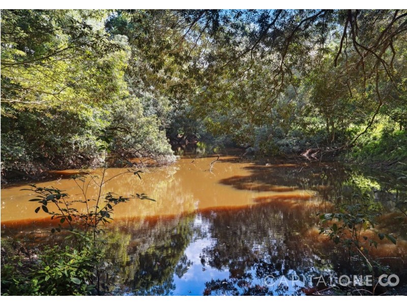 276 Brush Creek Road, Cedar Brush Creek NSW 2259