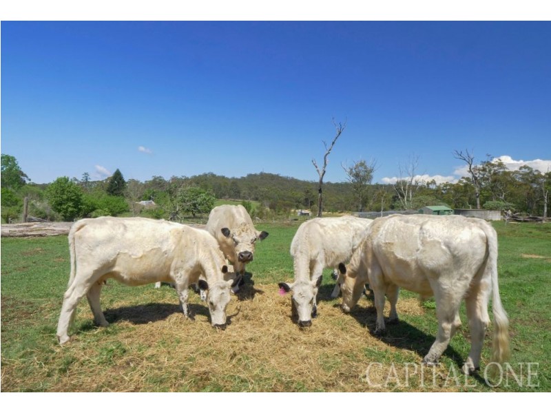 142 & 186 A Bell Road, Mangrove Mountain NSW 2250