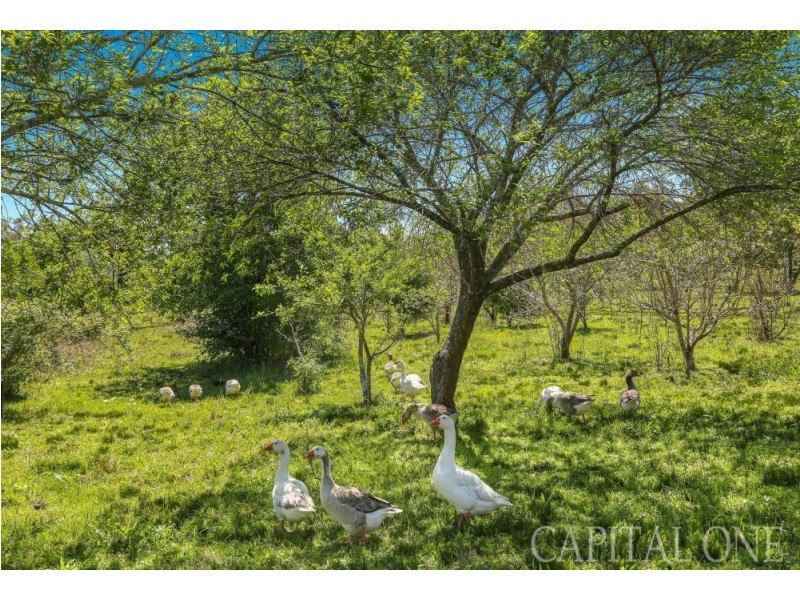 142 & 186 A Bell Road, Mangrove Mountain NSW 2250