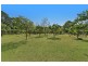 1651 Yarramalong Road, Yarramalong NSW 2259