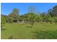 1651 Yarramalong Road, Yarramalong NSW 2259