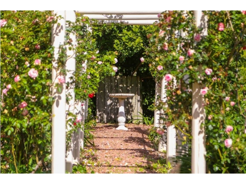 6 Jilliby Road, Jilliby NSW 2259