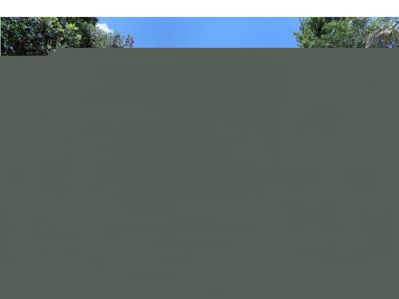 5 Cutler Drive, Wyong NSW 2259