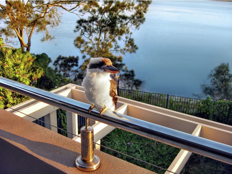 73A Main Road, Toukley NSW 2263