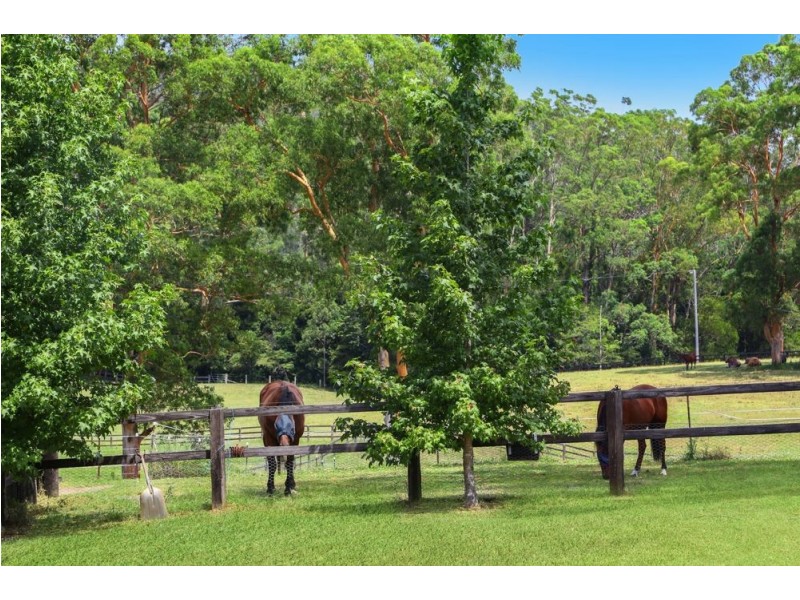 158 Phil Tunks Road, Dooralong NSW 2259