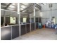 227 Little Jilliby Road, Little Jilliby NSW 2259
