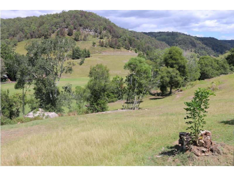 227 Brush Creek Road, Cedar Brush Creek NSW 2259