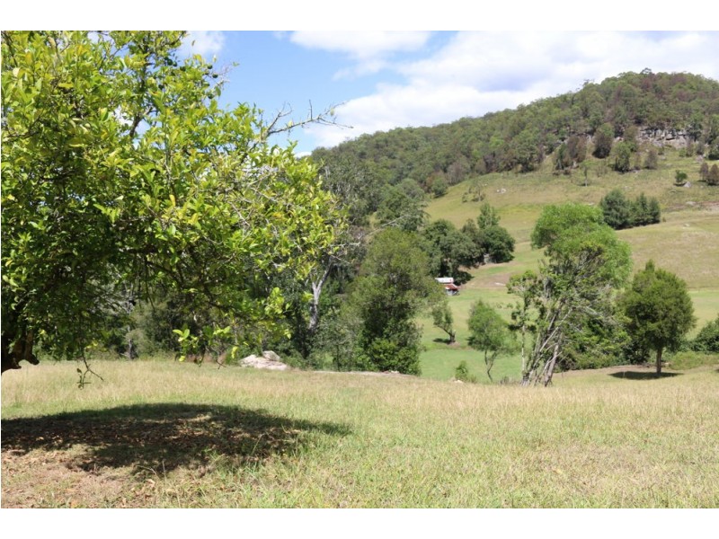 227 Brush Creek Road, Cedar Brush Creek NSW 2259