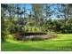 670 Yarramalong Road, Wyong Creek NSW 2259