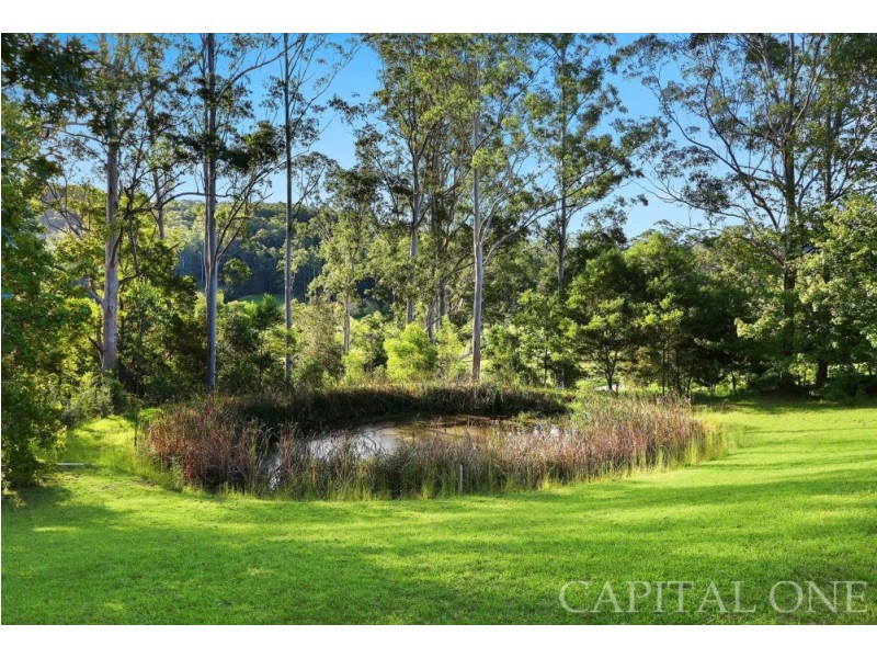 670 Yarramalong Road, Wyong Creek NSW 2259