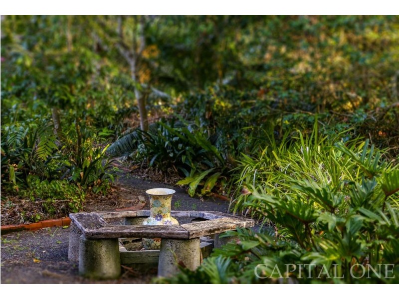 670 Yarramalong Road, Wyong Creek NSW 2259