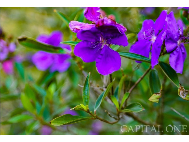 670 Yarramalong Road, Wyong Creek NSW 2259