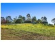 58 Birak Road, Mangrove Mountain NSW 2250