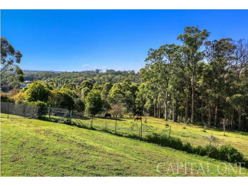 58 Birak Road, Mangrove Mountain NSW 2250