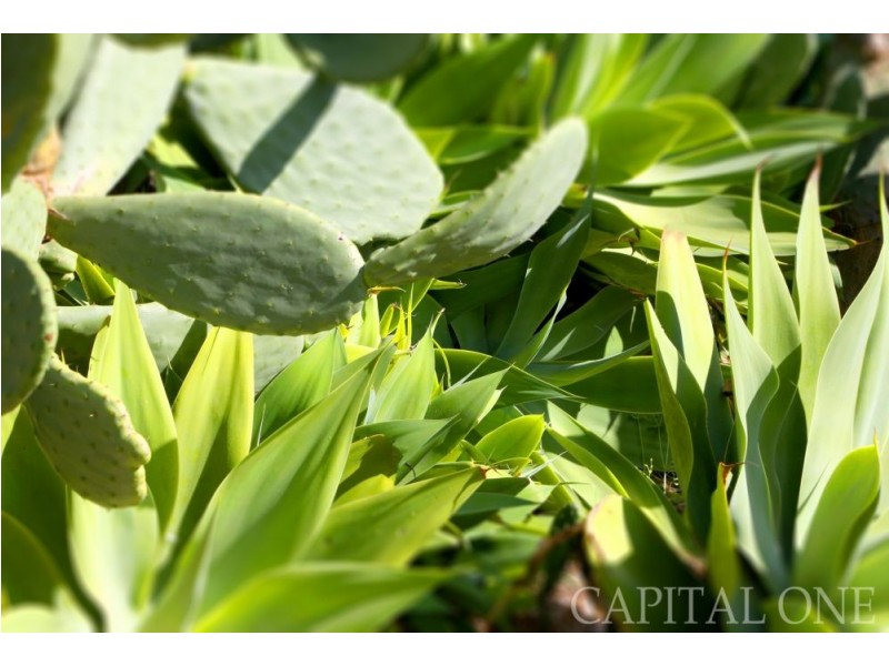 33 Holloway Drive, Jilliby NSW 2259