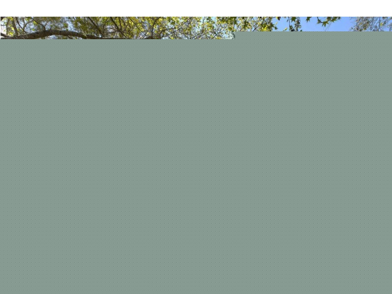 15 Canntree Road, Tuggerah NSW 2259