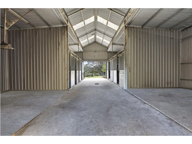 15 Canntree Road, Tuggerah NSW 2259