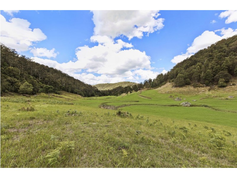 Lot A – 130 Spring Gully Lane, Cedar Brush Creek NSW 2259