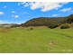 140 Spring Gully Lane, Cedar Brush Creek NSW 2259