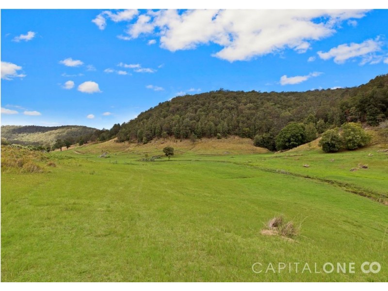 140 Spring Gully Lane, Cedar Brush Creek NSW 2259