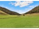 140 Spring Gully Lane, Cedar Brush Creek NSW 2259