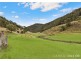 140 Spring Gully Lane, Cedar Brush Creek NSW 2259