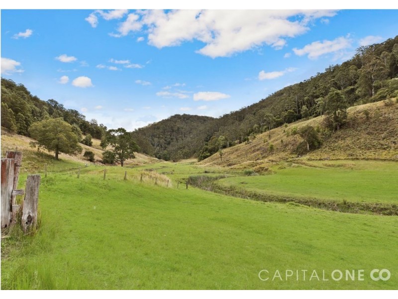 140 Spring Gully Lane, Cedar Brush Creek NSW 2259
