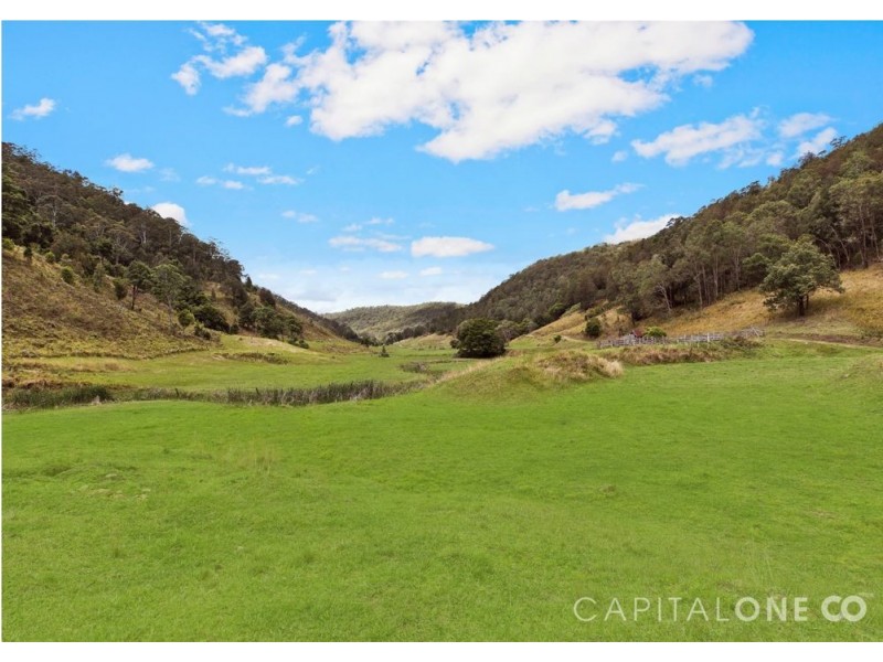 140 Spring Gully Lane, Cedar Brush Creek NSW 2259