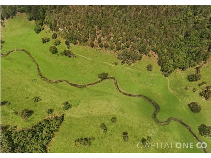 140 Spring Gully Lane, Cedar Brush Creek NSW 2259