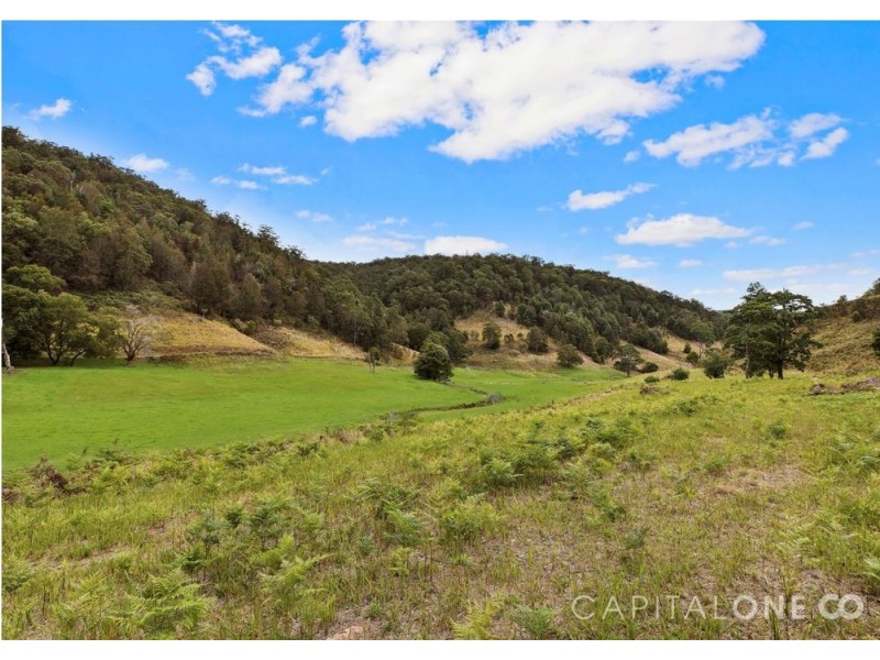 140 Spring Gully Lane, Cedar Brush Creek NSW 2259