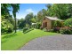 594 Brush Creek Road, Cedar Brush Creek NSW 2259