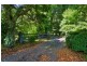 594 Brush Creek Road, Cedar Brush Creek NSW 2259