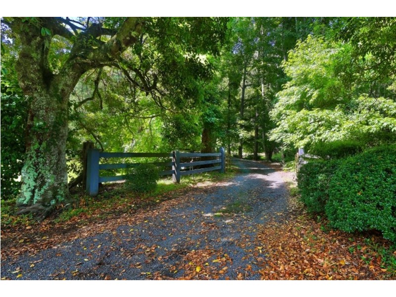 594 Brush Creek Road, Cedar Brush Creek NSW 2259