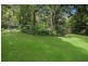 594 Brush Creek Road, Cedar Brush Creek NSW 2259