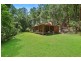 594 Brush Creek Road, Cedar Brush Creek NSW 2259