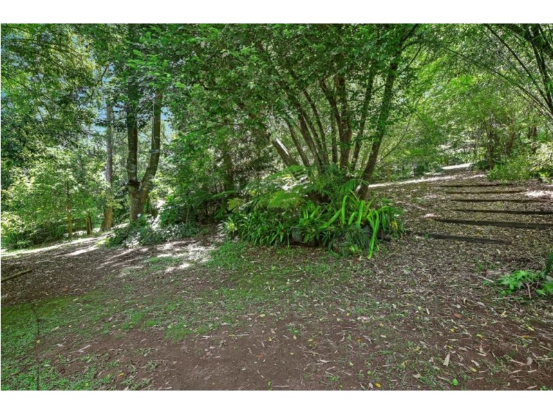 594 Brush Creek Road, Cedar Brush Creek NSW 2259