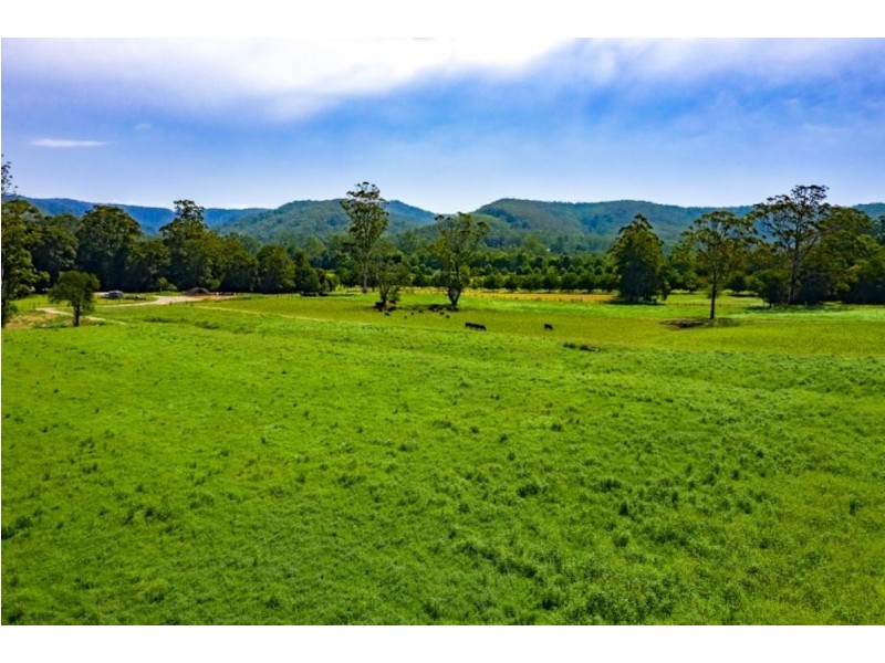 582 Yarramalong Road, Wyong Creek NSW 2259