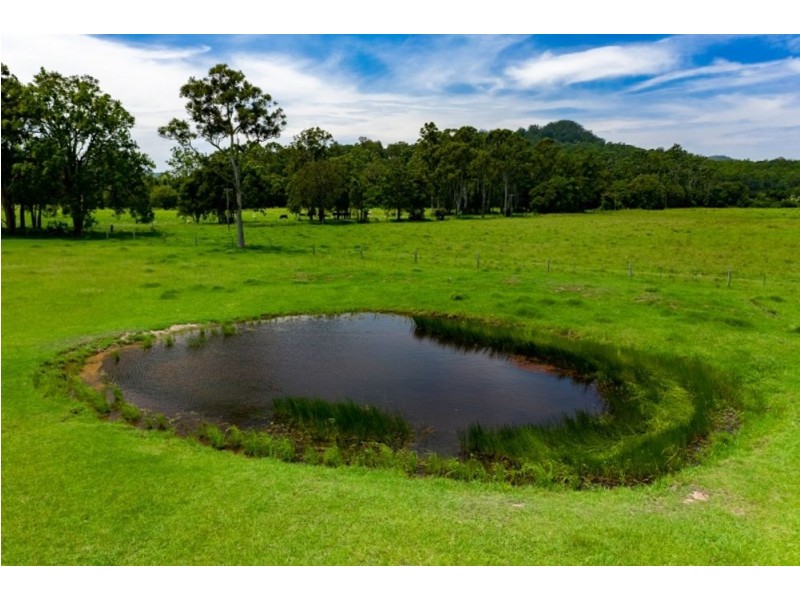 1189 Dooralong Road, Dooralong NSW 2259