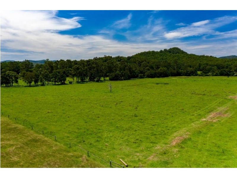 1189 Dooralong Road, Dooralong NSW 2259