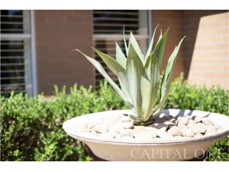 21 Stan Johnson Drive, Hamlyn Terrace NSW 2259