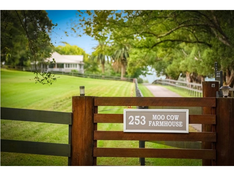 253 Yarramalong Road, Wyong Creek NSW 2259