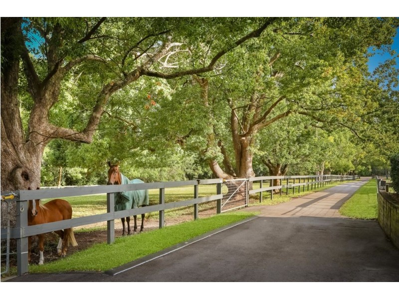 253 Yarramalong Road, Wyong Creek NSW 2259